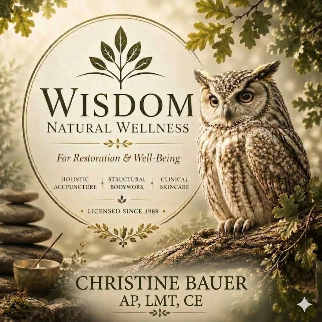 Wisdom Natural Wellness &mdash; For Restoration & Well-Being. Holistic acupuncture, structural bodywork, and clinical skincare from Christine Bauer, AP, LMT, CE, licensed since 1989. A great horned owl watches from an oak branch beside the practice emblem.